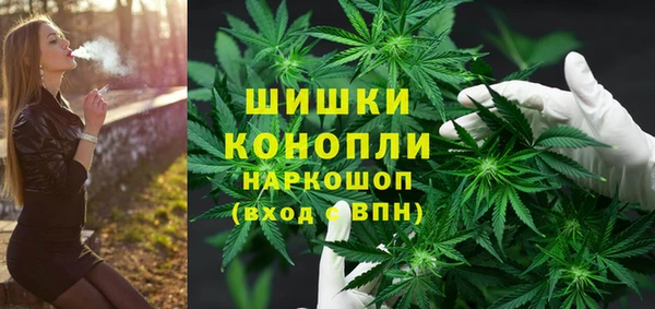 прущая мука Инсар