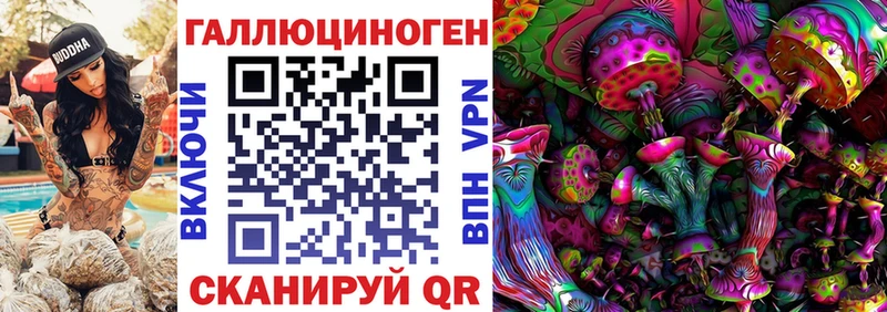 где купить наркоту маркетплейс наркотические препараты ссылка на мегу маркетплейс Псилоцибиновые грибы мицелий Лермонтов